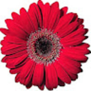 Meet your Posher, Jaime